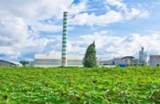 越南首家生物质能源发电厂在富寿省兴建